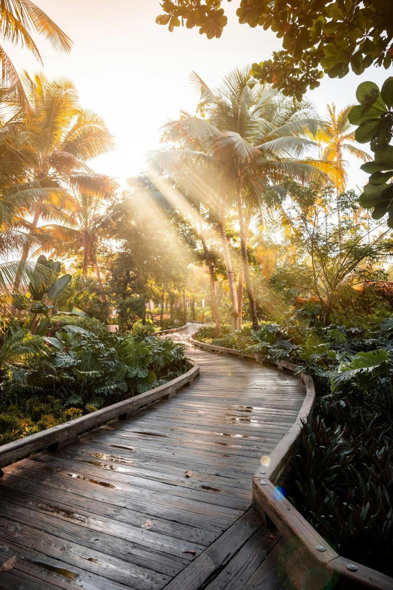 St. Regis Bahia Beach Resort, Puerto Rico Río Grande Eksteriør bilde